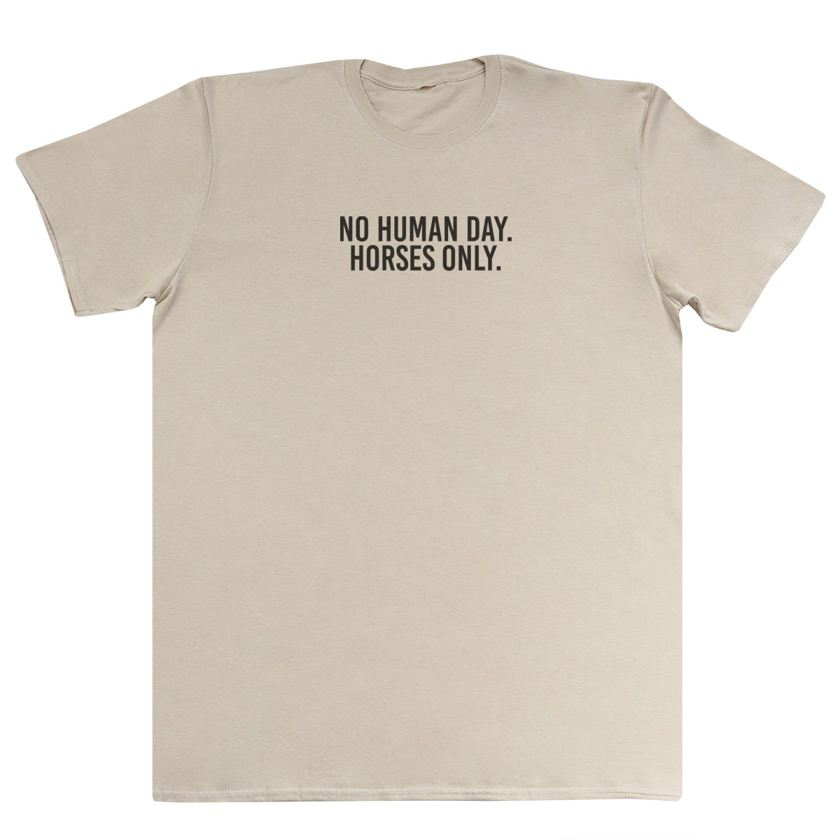 No Human Day. Horses Only - Kids Oversized Comfy T-Shirt